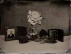 stilllifewithambrotypes_small.jpg